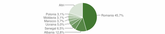 Grafico cittadinanza stranieri - Cervia 2013