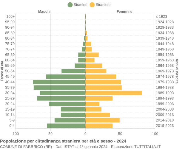 Grafico cittadini stranieri - Fabbrico 2024