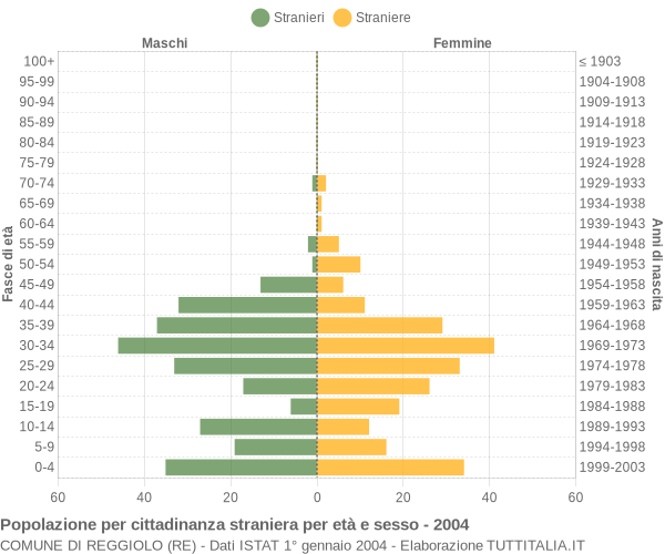 Grafico cittadini stranieri - Reggiolo 2004