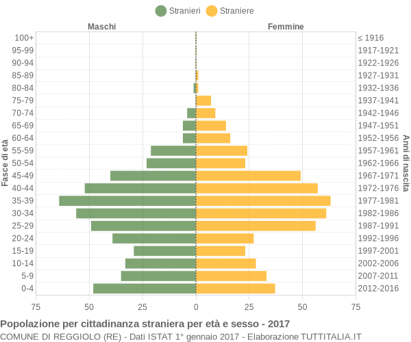 Grafico cittadini stranieri - Reggiolo 2017