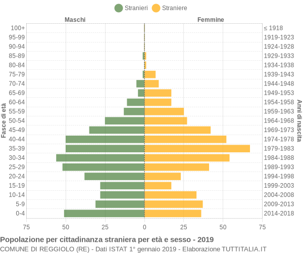 Grafico cittadini stranieri - Reggiolo 2019