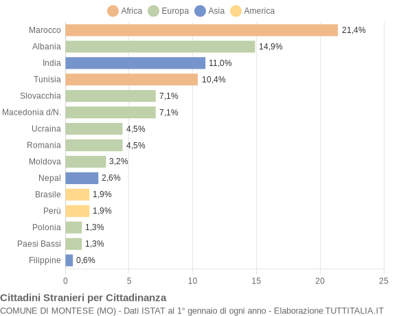 Grafico cittadinanza stranieri - Montese 2004