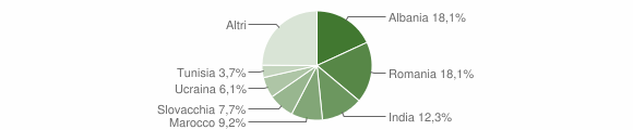 Grafico cittadinanza stranieri - Montese 2010