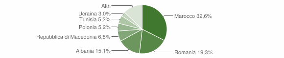 Grafico cittadinanza stranieri - Conselice 2010