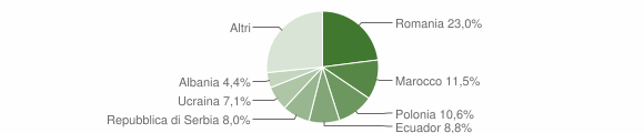 Grafico cittadinanza stranieri - Travo 2013