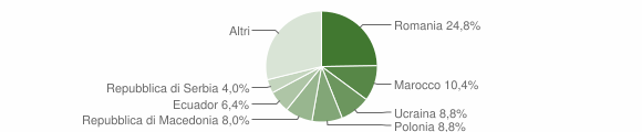 Grafico cittadinanza stranieri - Travo 2014