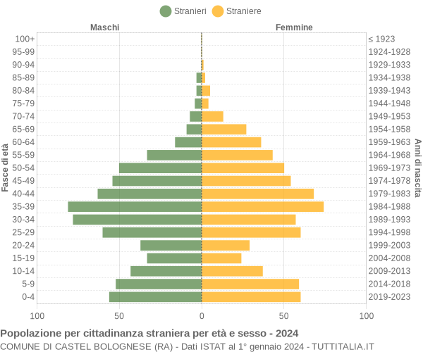 Grafico cittadini stranieri - Castel Bolognese 2024