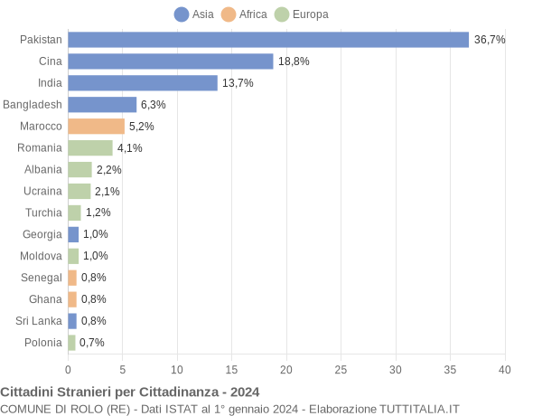 Grafico cittadinanza stranieri - Rolo 2024