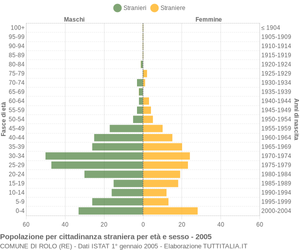 Grafico cittadini stranieri - Rolo 2005