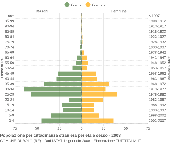 Grafico cittadini stranieri - Rolo 2008