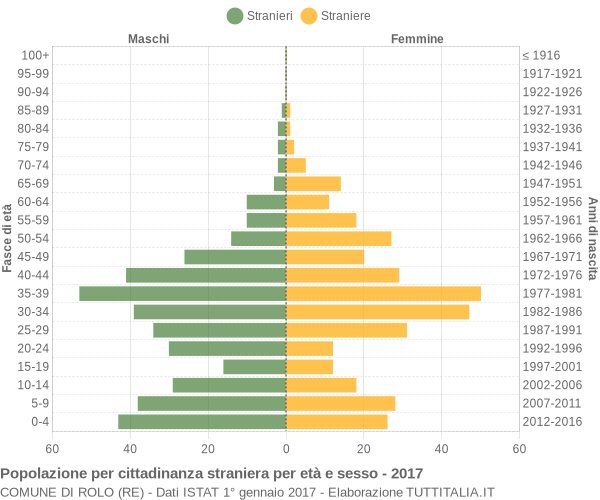 Grafico cittadini stranieri - Rolo 2017