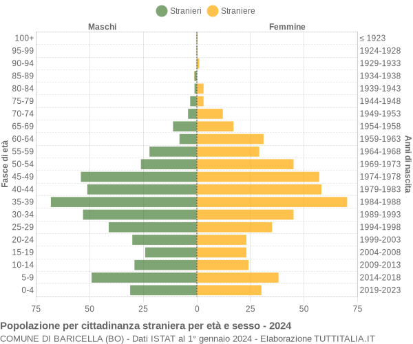 Grafico cittadini stranieri - Baricella 2024