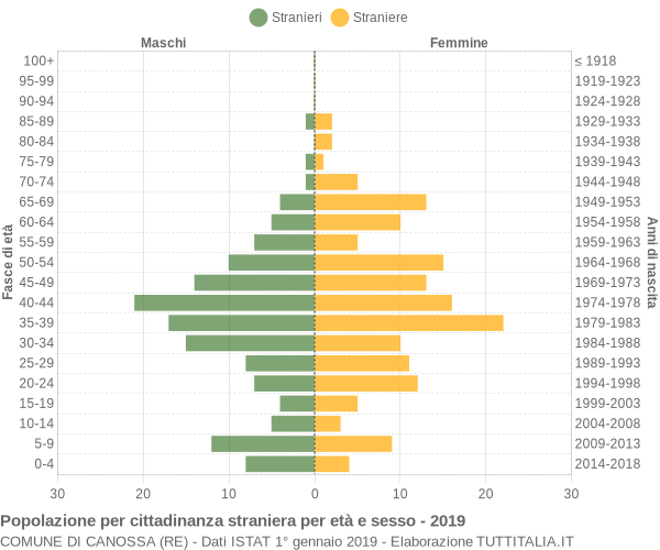 Grafico cittadini stranieri - Canossa 2019