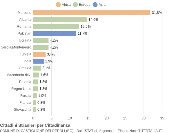 Grafico cittadinanza stranieri - Castiglione dei Pepoli 2007