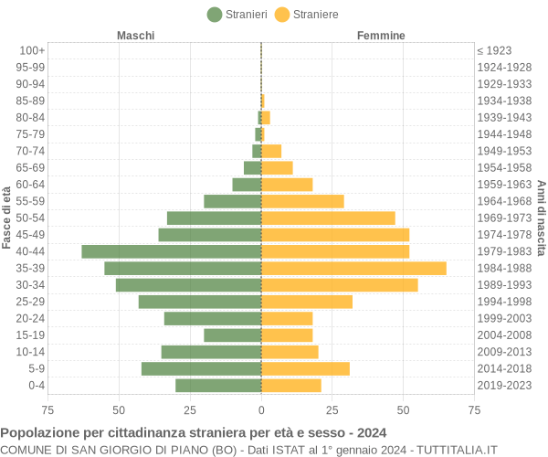 Grafico cittadini stranieri - San Giorgio di Piano 2024