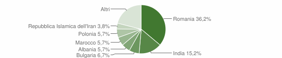 Grafico cittadinanza stranieri - Camugnano 2011