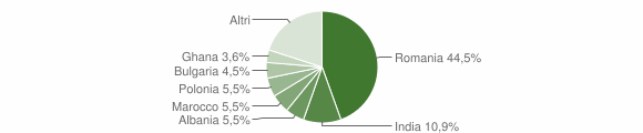 Grafico cittadinanza stranieri - Camugnano 2013