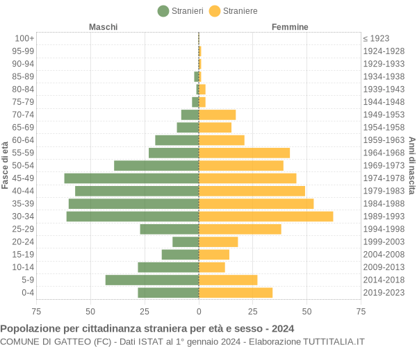 Grafico cittadini stranieri - Gatteo 2024