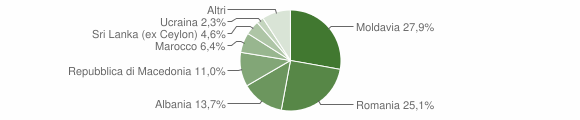 Grafico cittadinanza stranieri - Pievepelago 2009