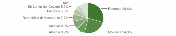Grafico cittadinanza stranieri - Pievepelago 2015