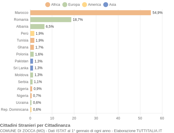 Grafico cittadinanza stranieri - Zocca 2009