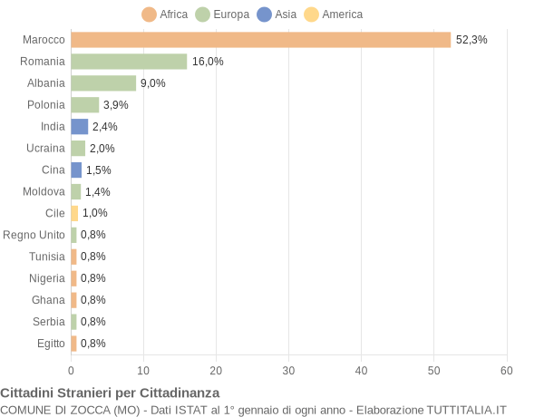 Grafico cittadinanza stranieri - Zocca 2017