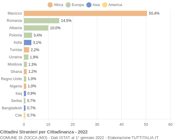 Grafico cittadinanza stranieri - Zocca 2022