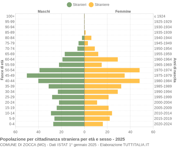 Grafico cittadini stranieri - Zocca 2025