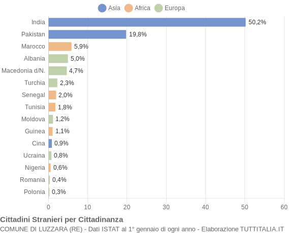 Grafico cittadinanza stranieri - Luzzara 2006