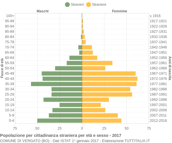 Grafico cittadini stranieri - Vergato 2017