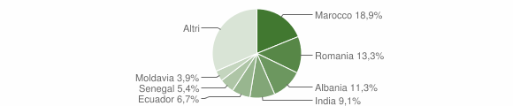 Grafico cittadinanza stranieri - Caorso 2015