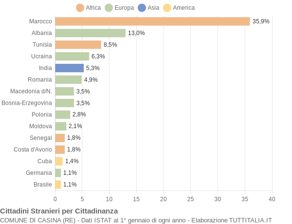 Grafico cittadinanza stranieri - Casina 2009