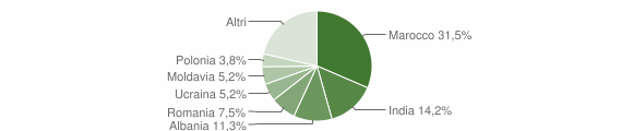 Grafico cittadinanza stranieri - Casina 2014