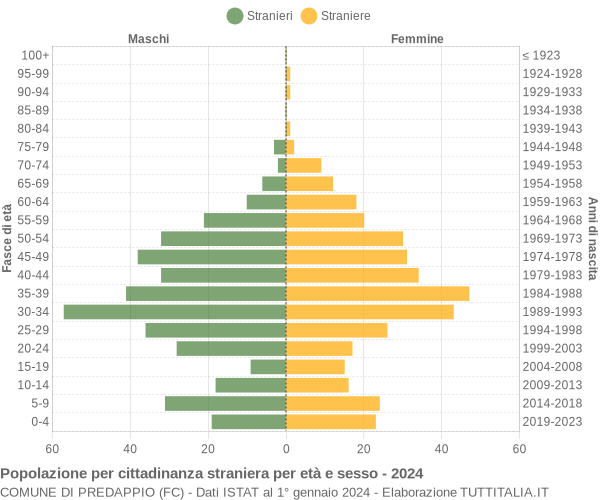 Grafico cittadini stranieri - Predappio 2024