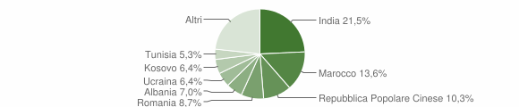Grafico cittadinanza stranieri - Bagnolo in Piano 2012