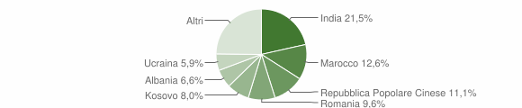 Grafico cittadinanza stranieri - Bagnolo in Piano 2013