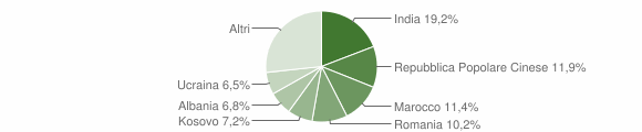 Grafico cittadinanza stranieri - Bagnolo in Piano 2015