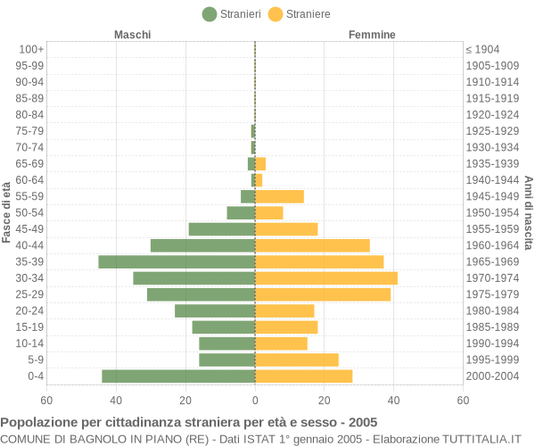 Grafico cittadini stranieri - Bagnolo in Piano 2005