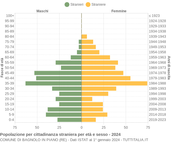 Grafico cittadini stranieri - Bagnolo in Piano 2024