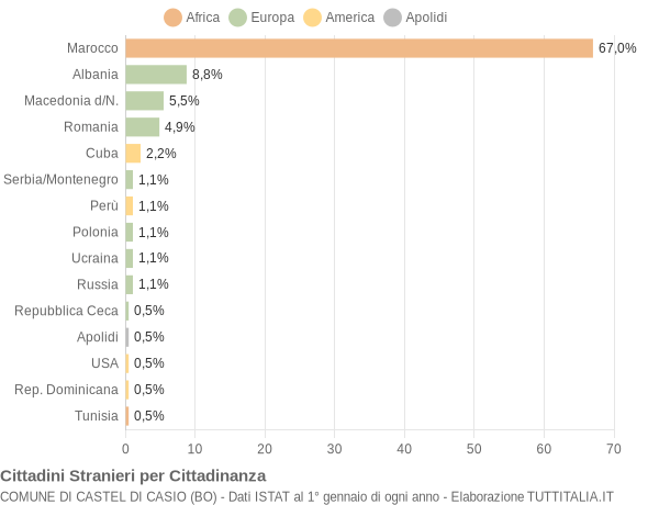 Grafico cittadinanza stranieri - Castel di Casio 2006