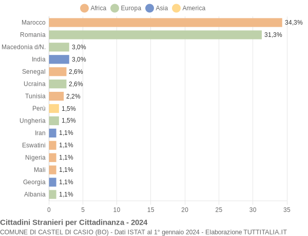 Grafico cittadinanza stranieri - Castel di Casio 2024