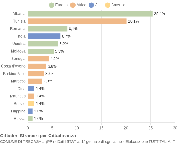 Grafico cittadinanza stranieri - Trecasali 2006