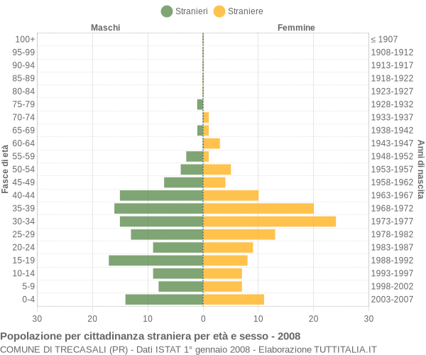 Grafico cittadini stranieri - Trecasali 2008