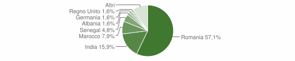 Grafico cittadinanza stranieri - Tredozio 2011