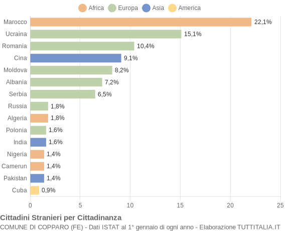 Grafico cittadinanza stranieri - Copparo 2009