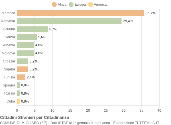 Grafico cittadinanza stranieri - Migliaro 2010