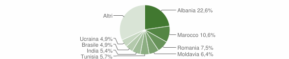 Grafico cittadinanza stranieri - Felino 2010