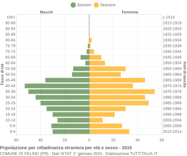 Grafico cittadini stranieri - Felino 2015