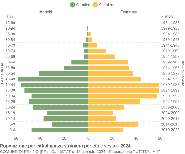 Grafico cittadini stranieri - Felino 2024