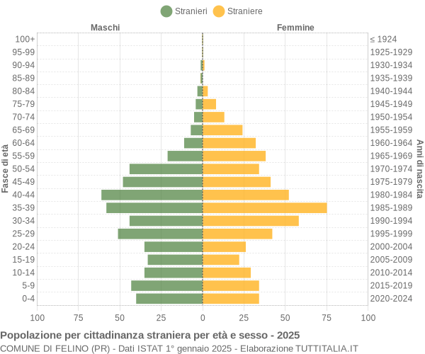 Grafico cittadini stranieri - Felino 2025